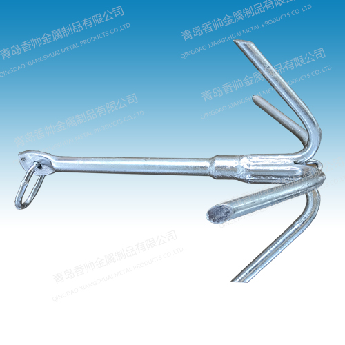 Ipomoea anchor